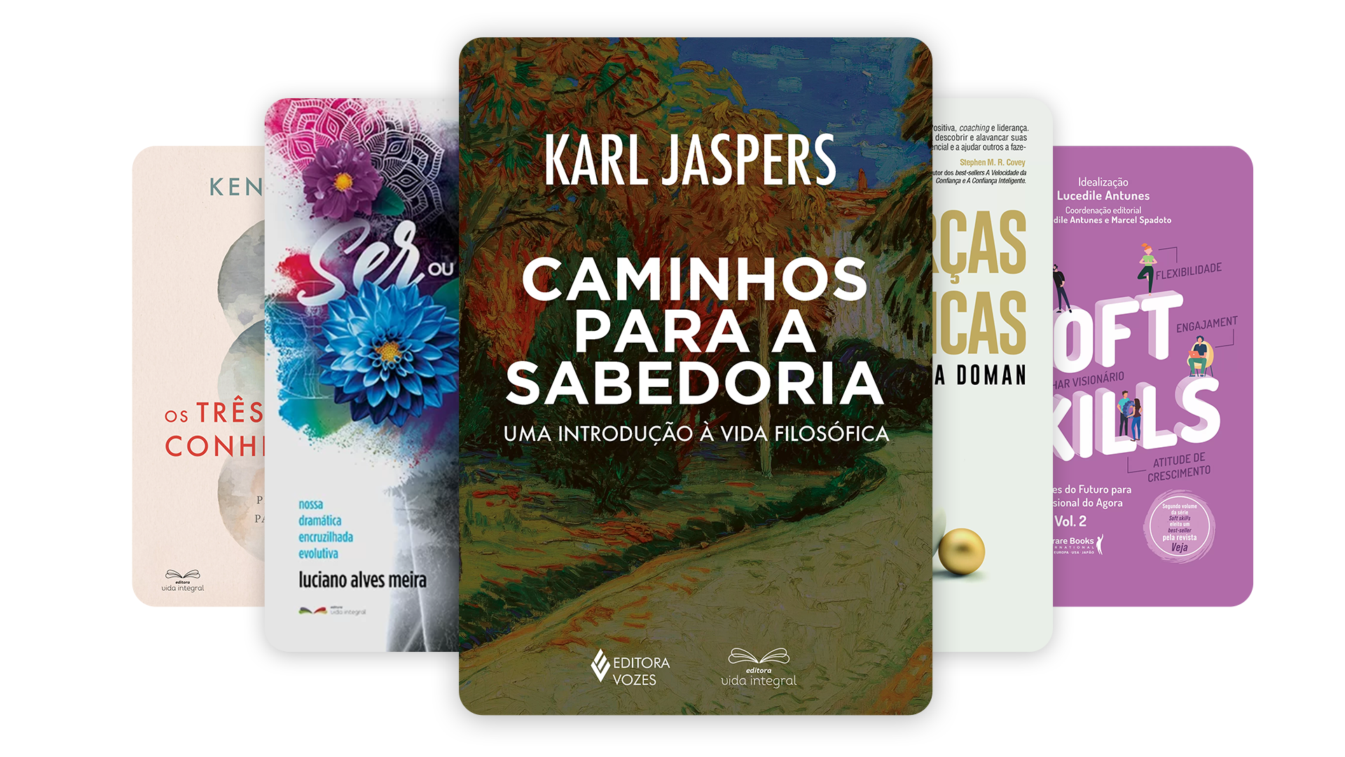 Livros da Editora Vida Integral